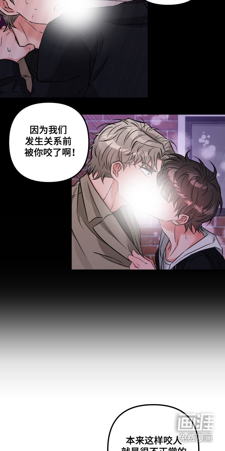 第4章：固执