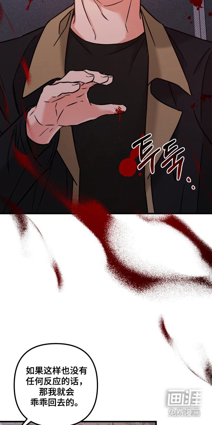 第5章：约定