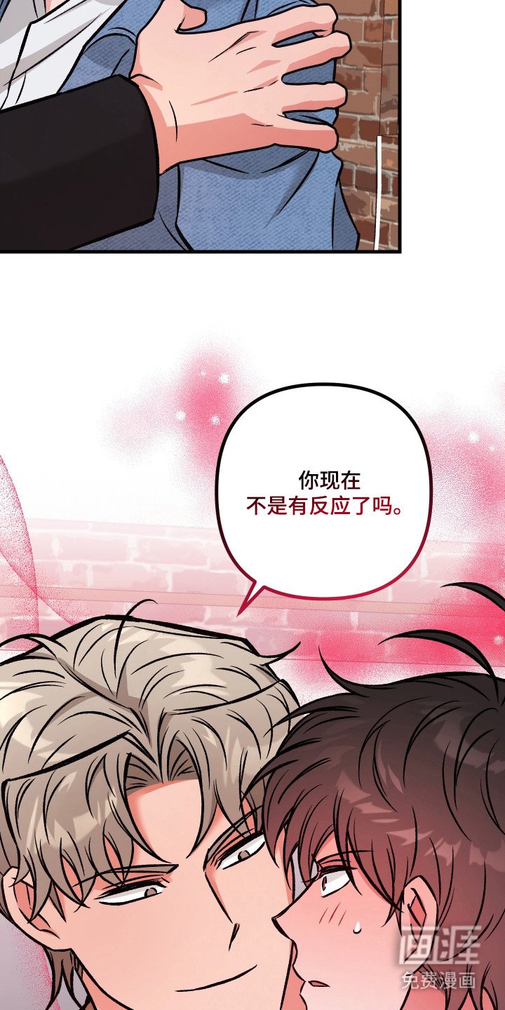 第5章：约定