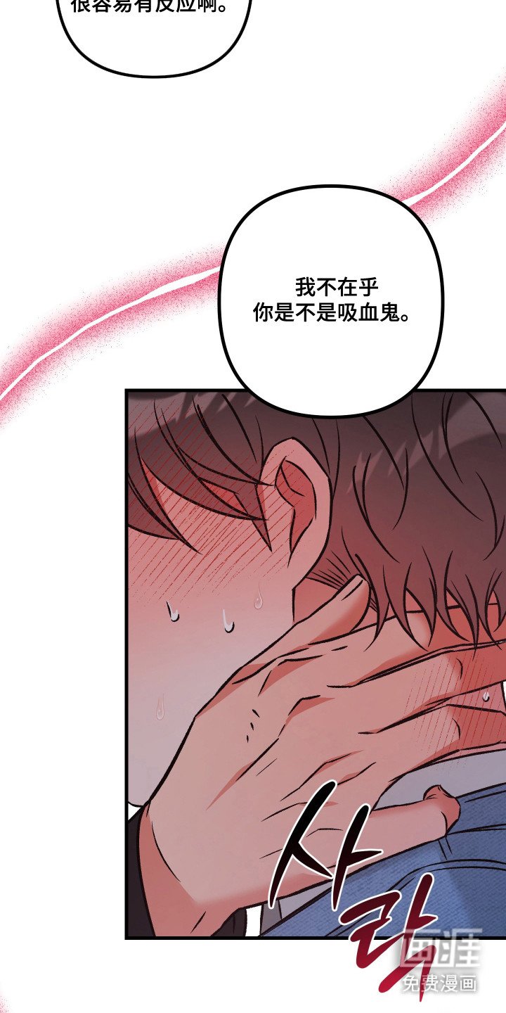 第5章：约定