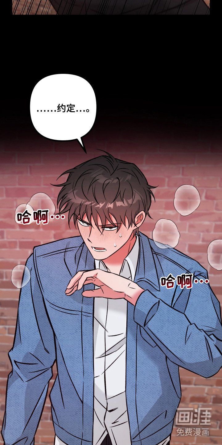 第5章：约定