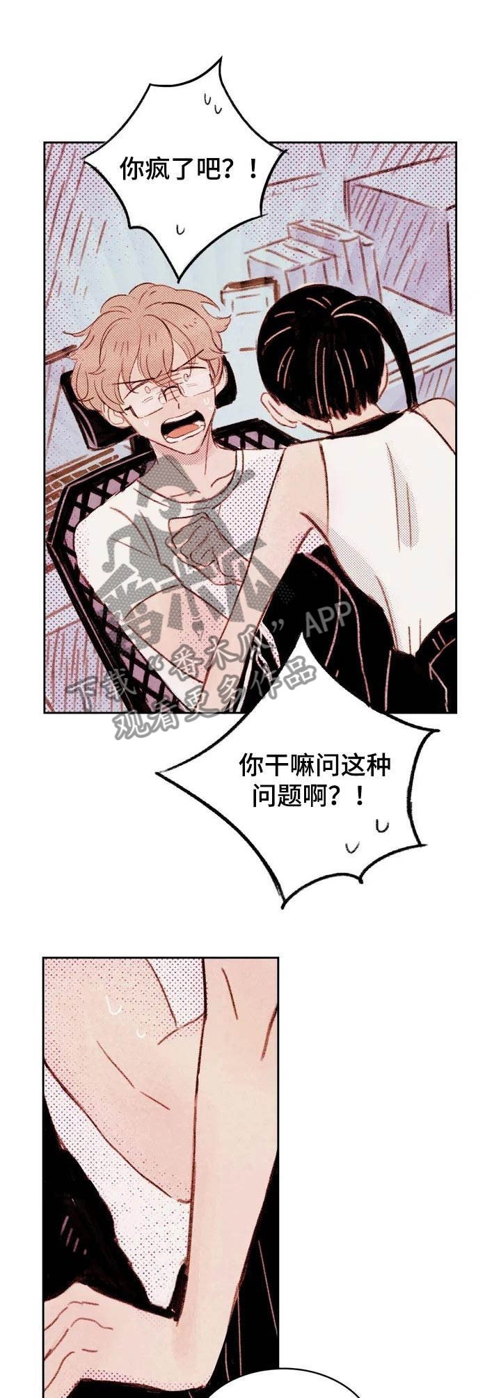 第2章：提议