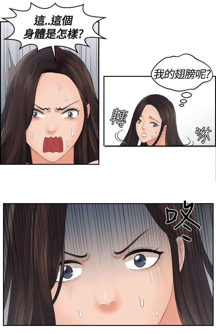 第3章：命令