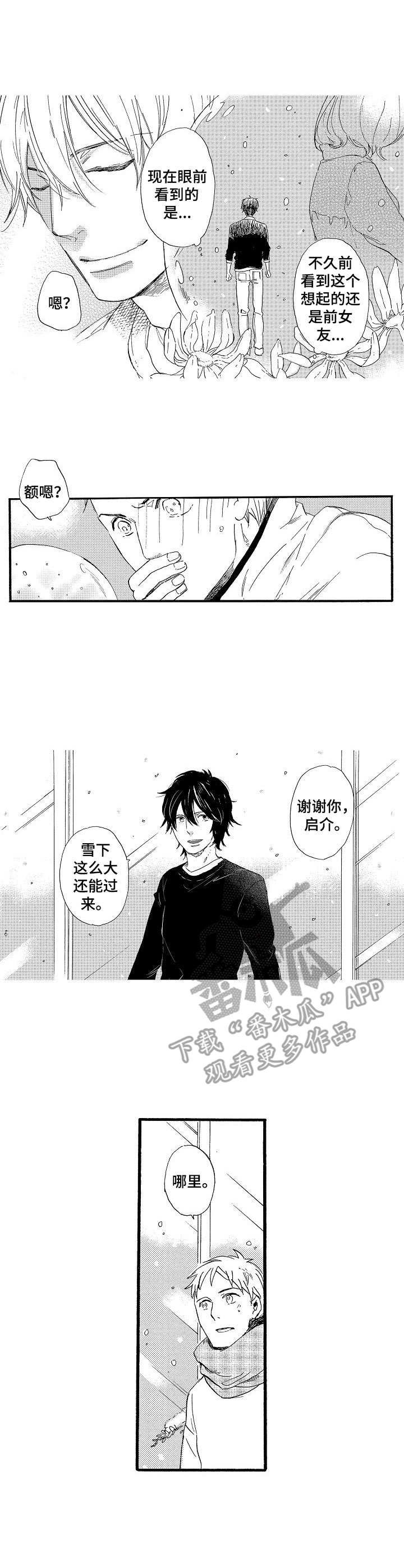 第25章：雪和玻璃（完结）