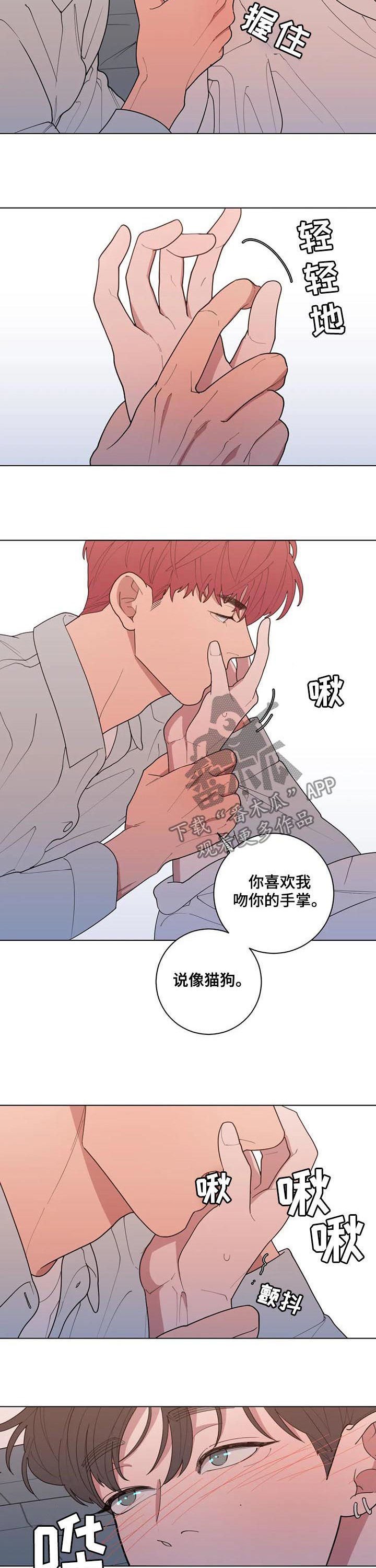 第186章：喜好
