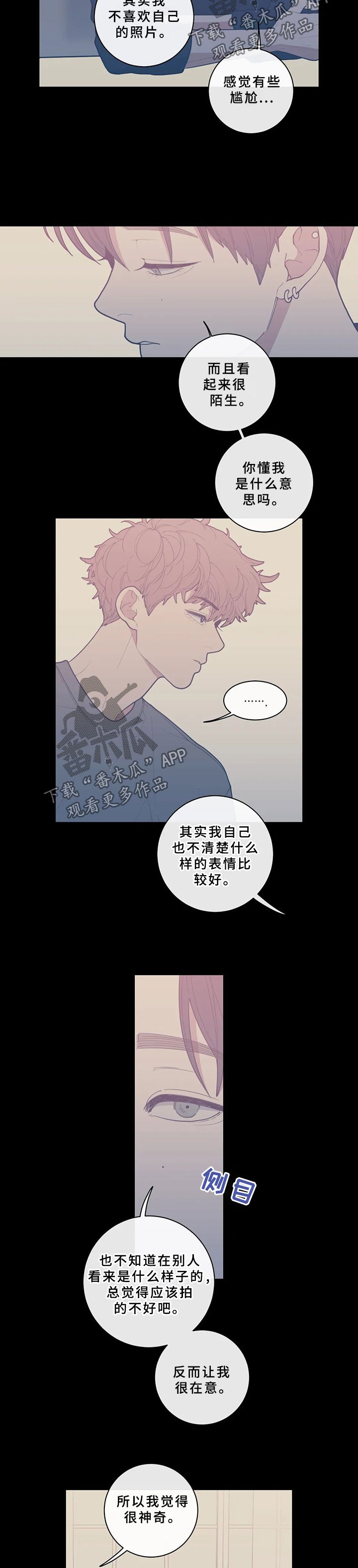 第48章：照片