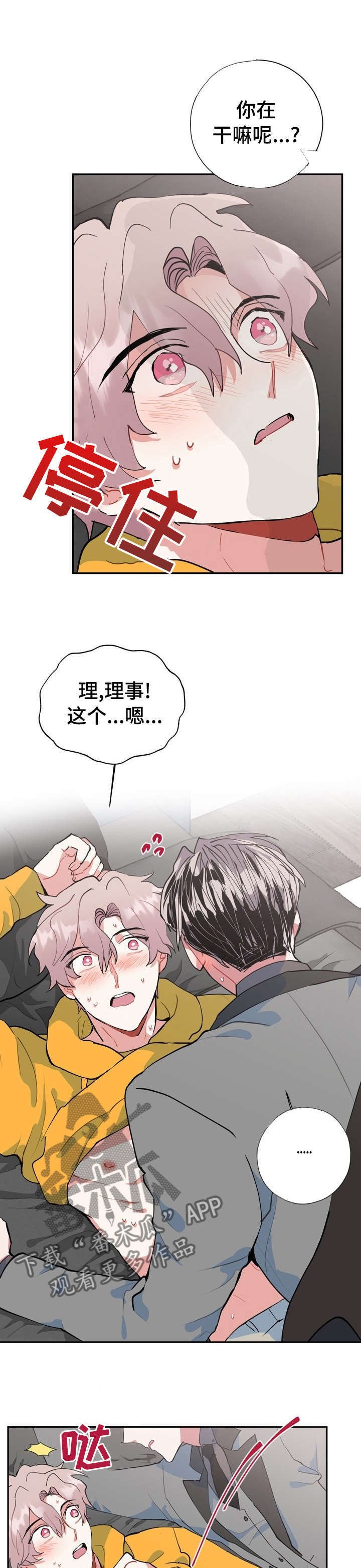 第29章：完全记不住