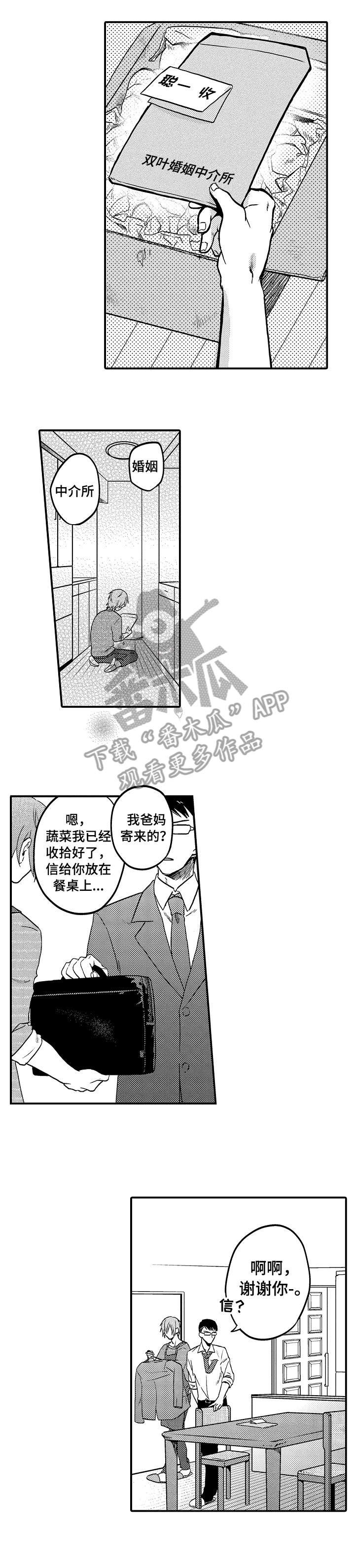 第6章：期待