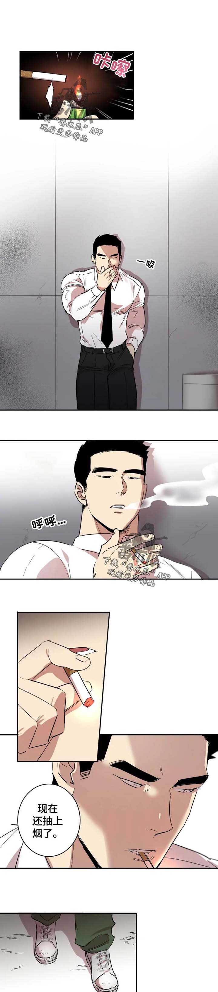 第17章：交往对象