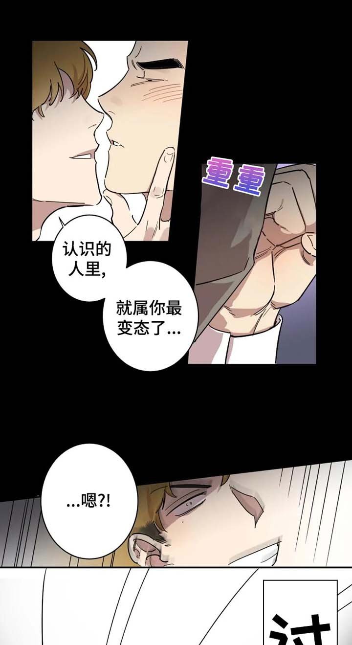 第17章：交往对象