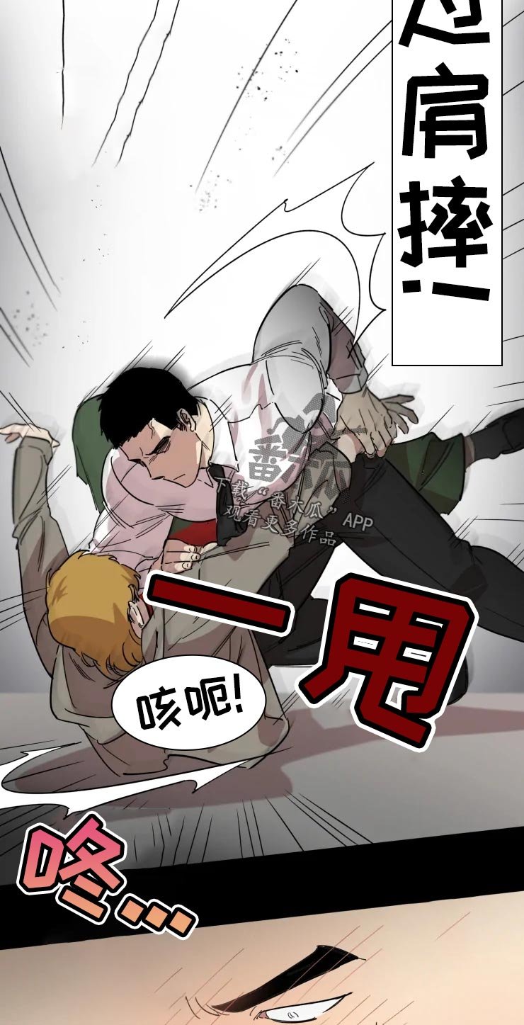 第17章：交往对象