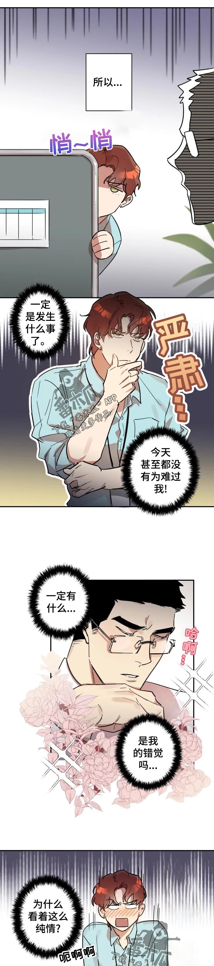 第19章：看着处理