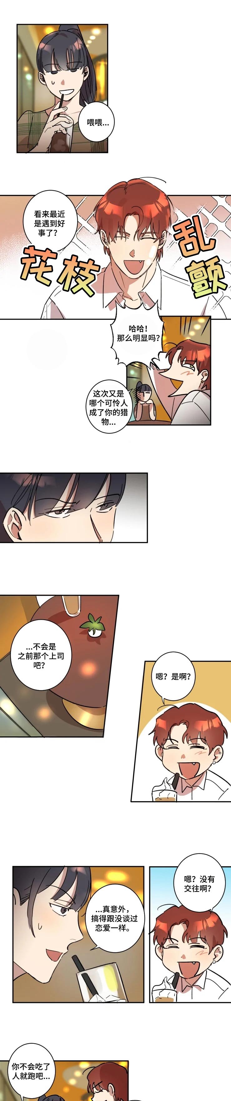 第29章：爱的忠告