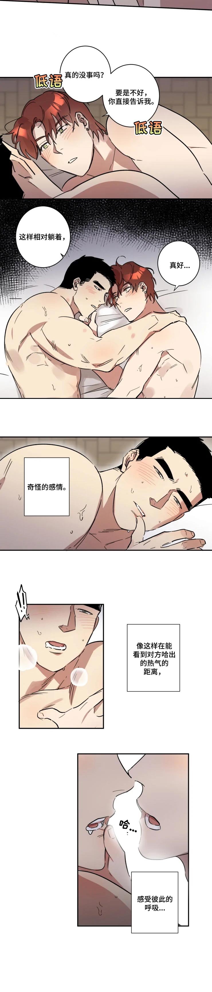第30章：奇怪的感情