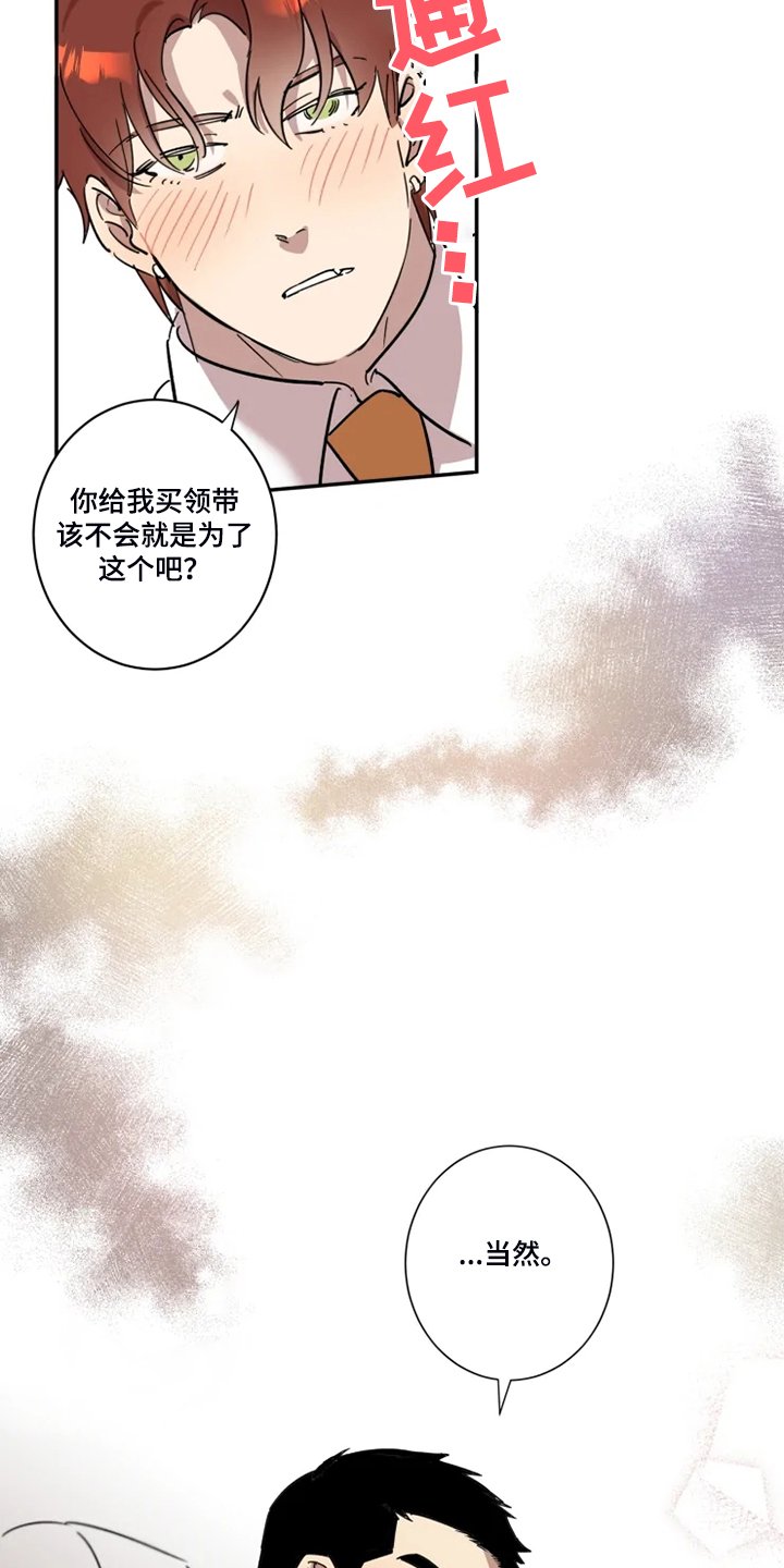 第44章：【完结】领带的作用