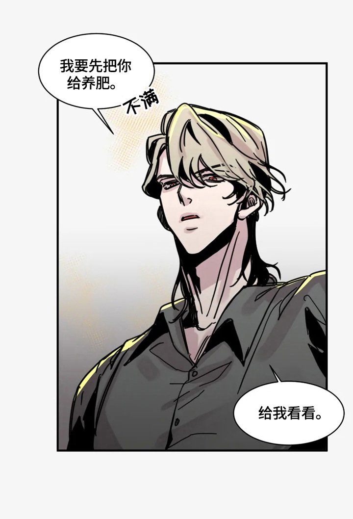 第19章：我喜欢