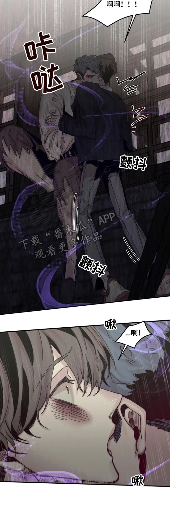 第33章：疯狂