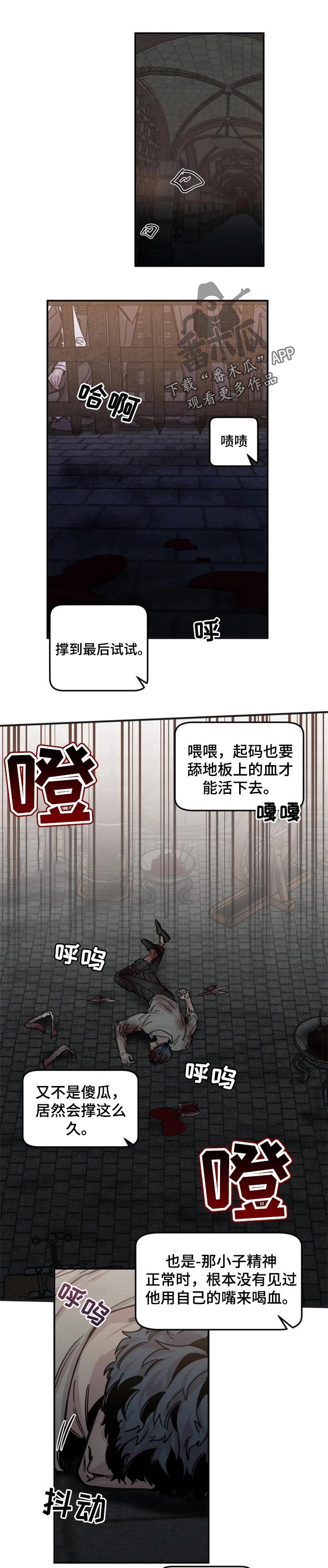 第44章：选择我
