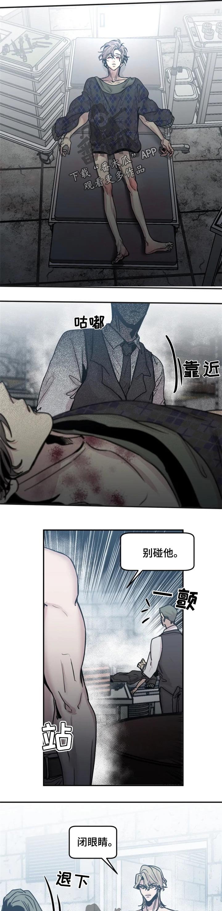 第44章：选择我