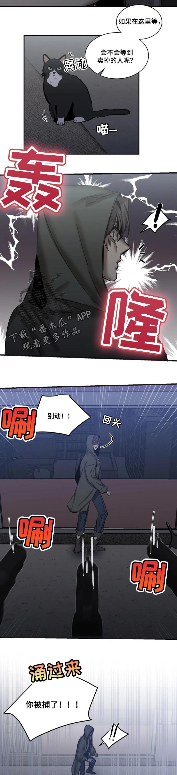 第72章：【第二季】找准时机