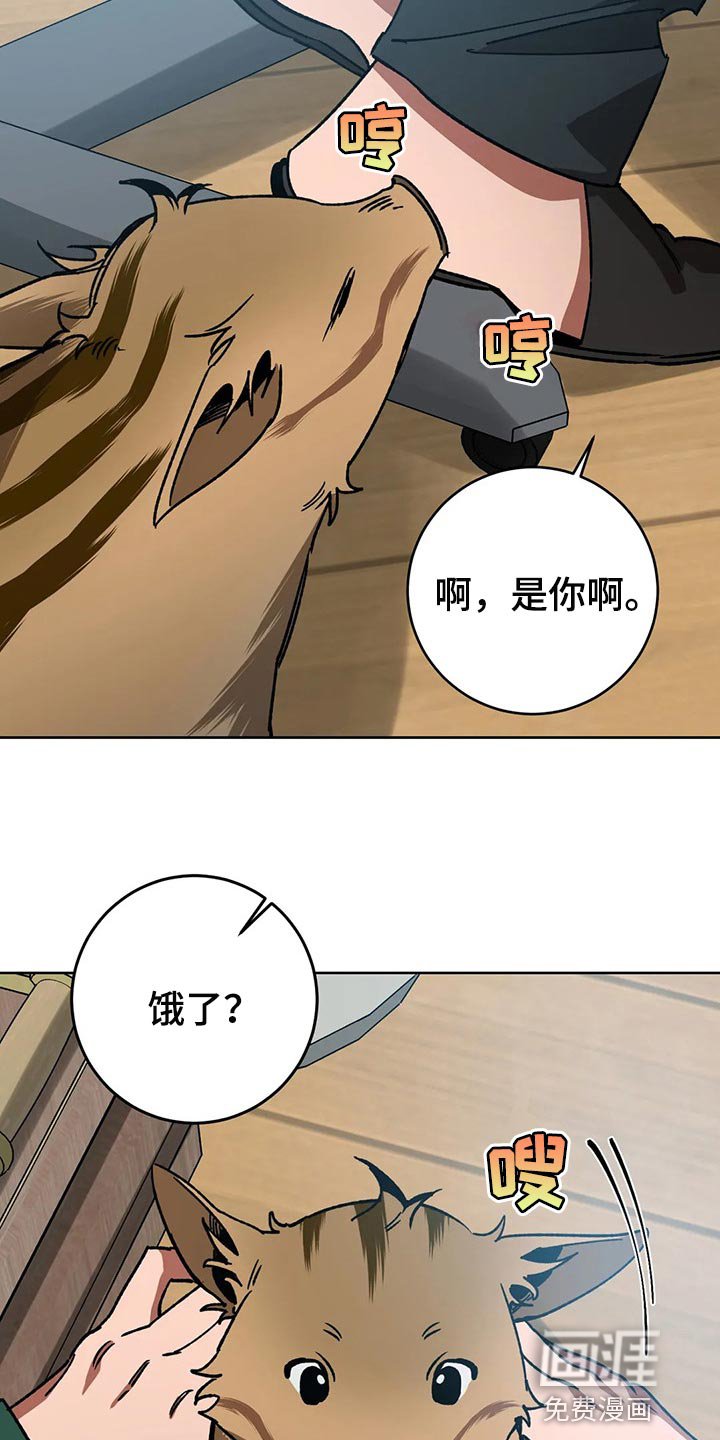 第101章：视线