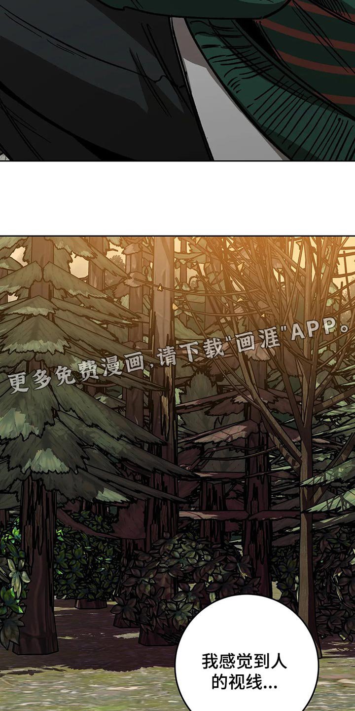 第101章：视线