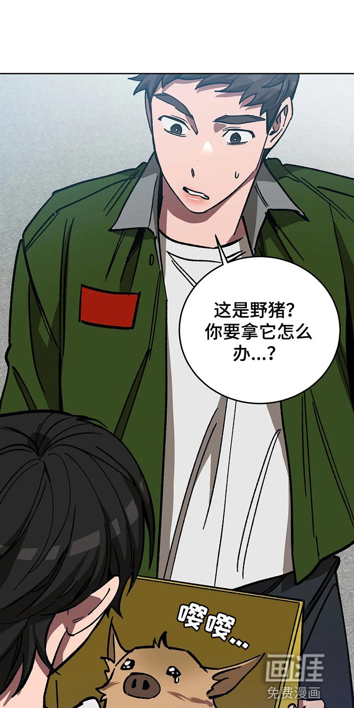 第106章：野猪不是玩具