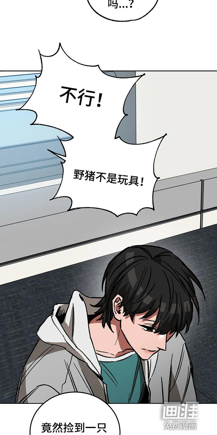 第106章：野猪不是玩具