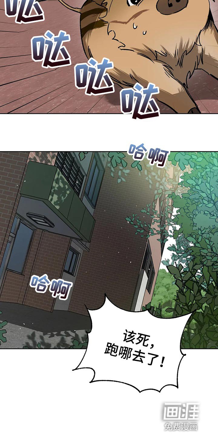 第106章：野猪不是玩具
