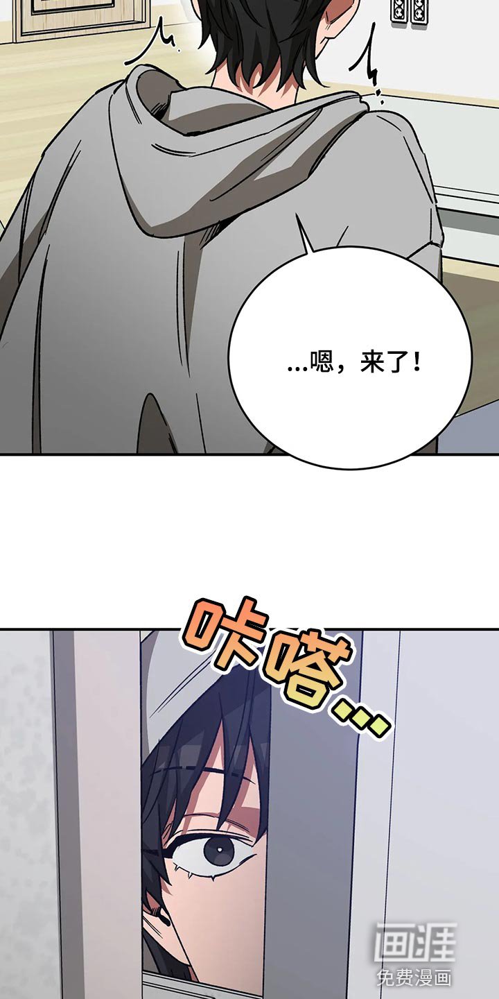 第114章：回来了