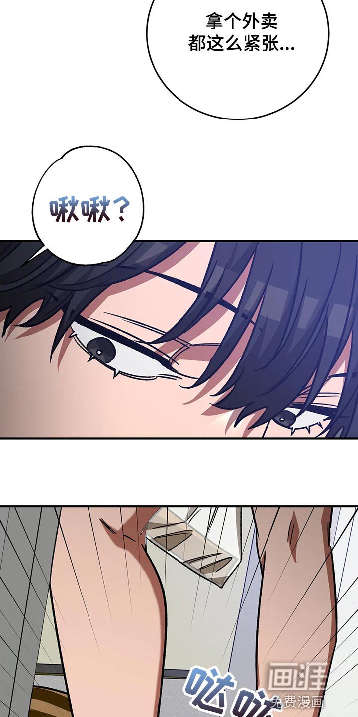 第114章：回来了