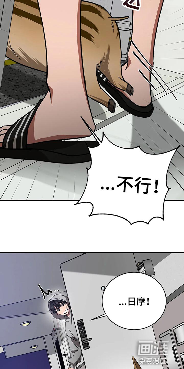 第114章：回来了