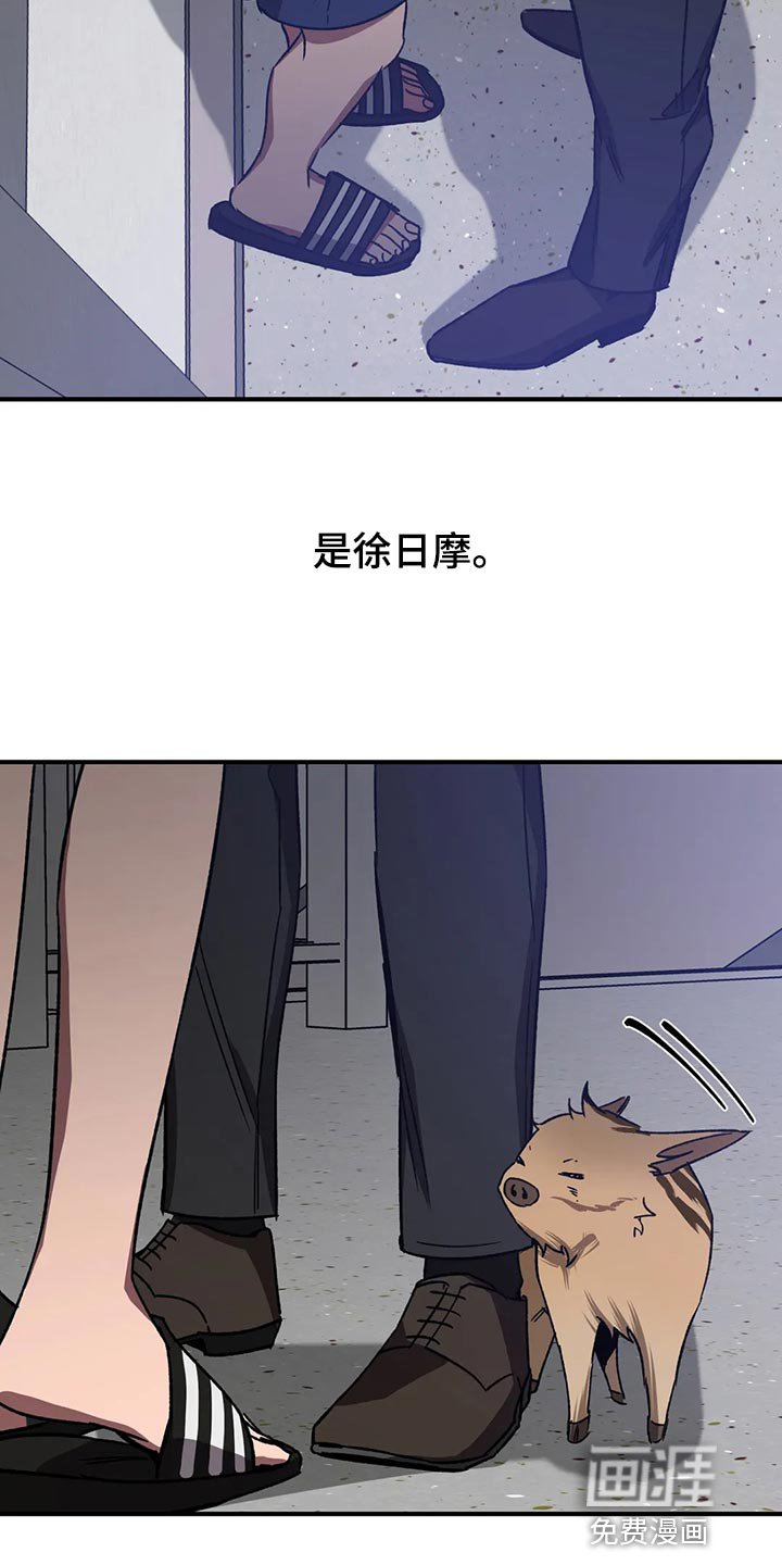 第114章：回来了
