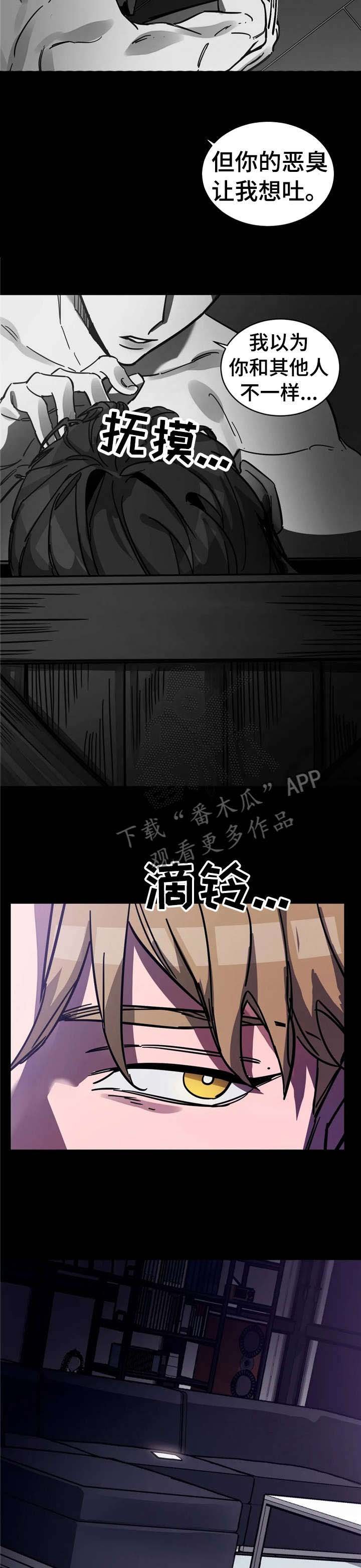 第12章：不一样