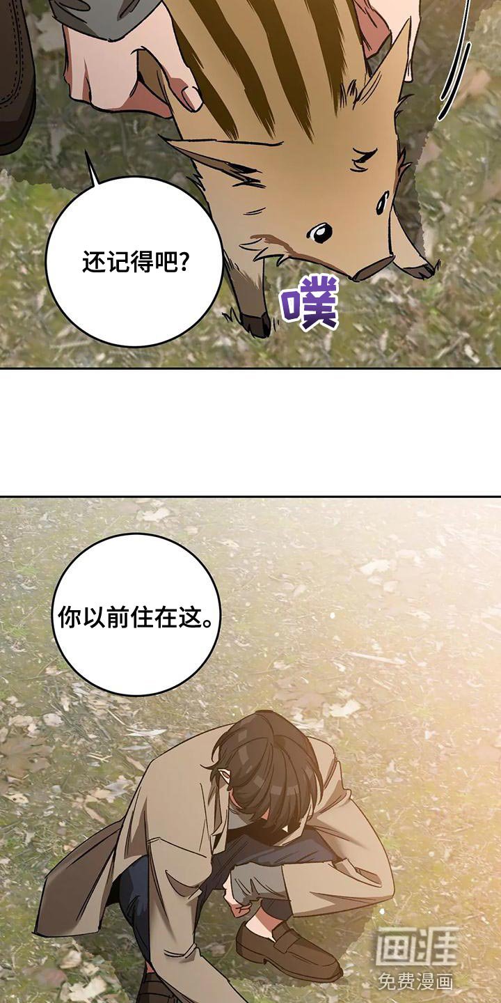 第127章：迷路