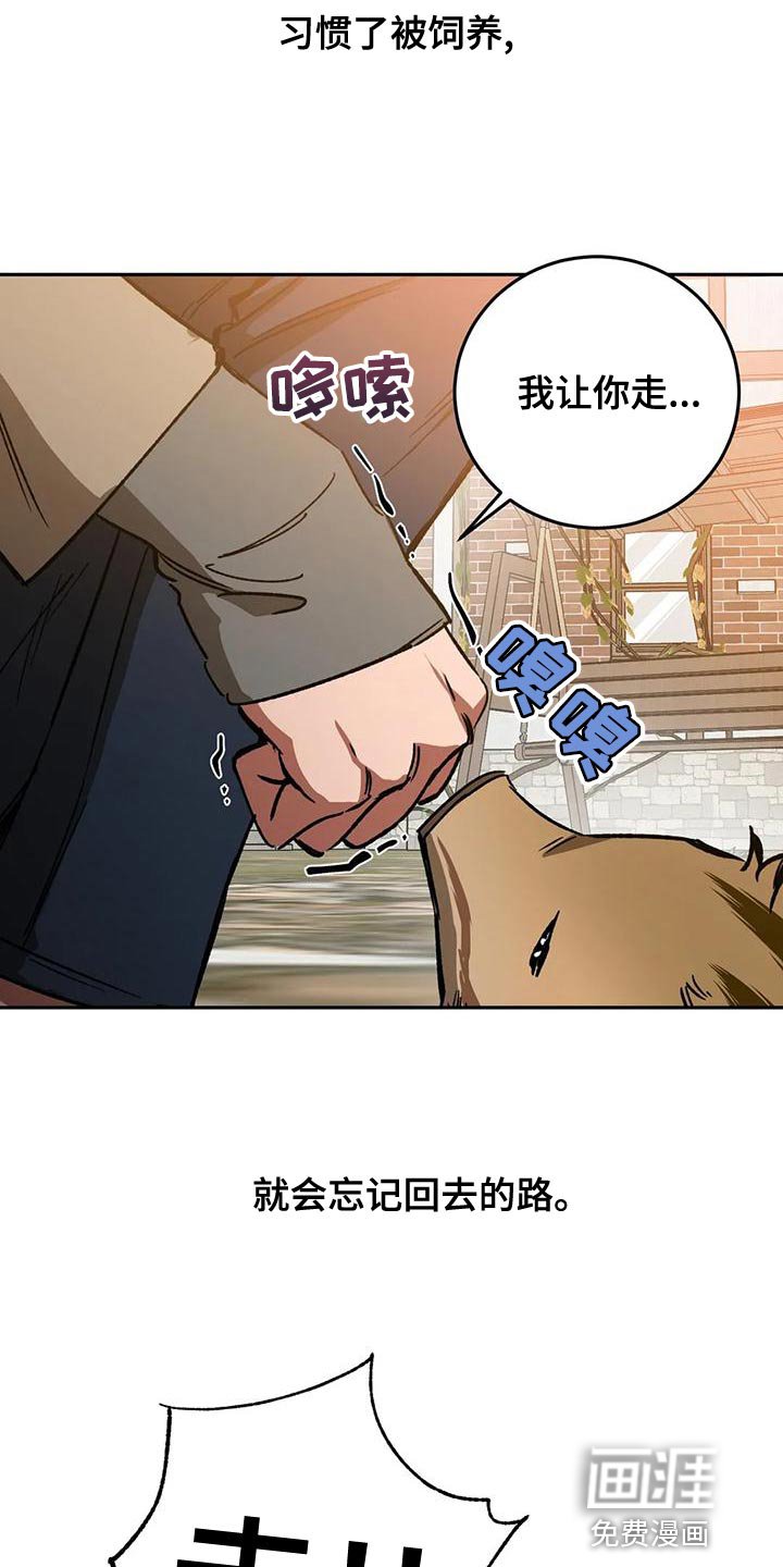 第127章：迷路