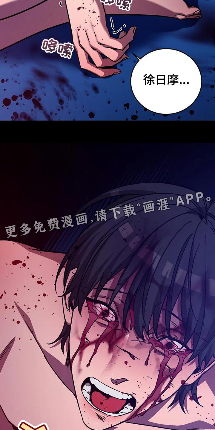 第135章：报仇的绝佳时机