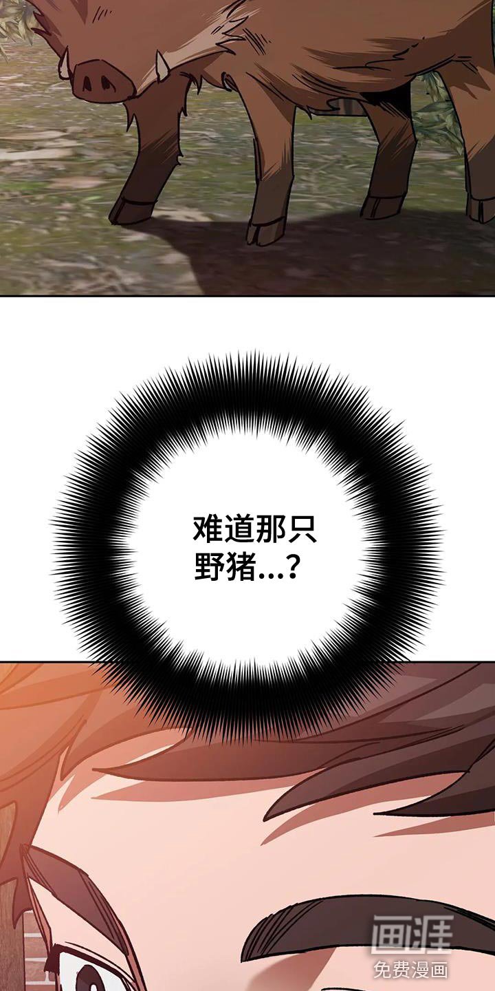第141章：野猪