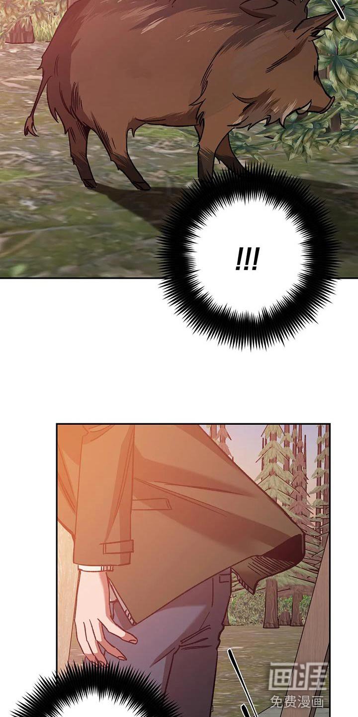 第141章：野猪