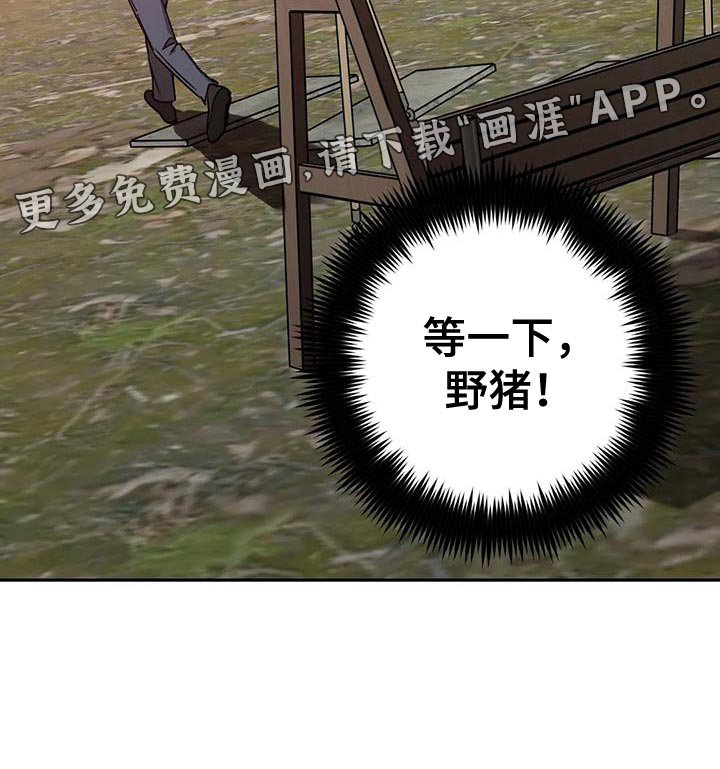 第141章：野猪