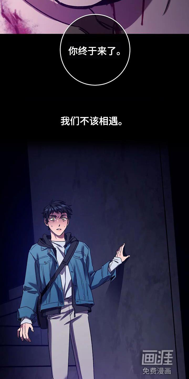 第144章：【番外】我们不该相遇