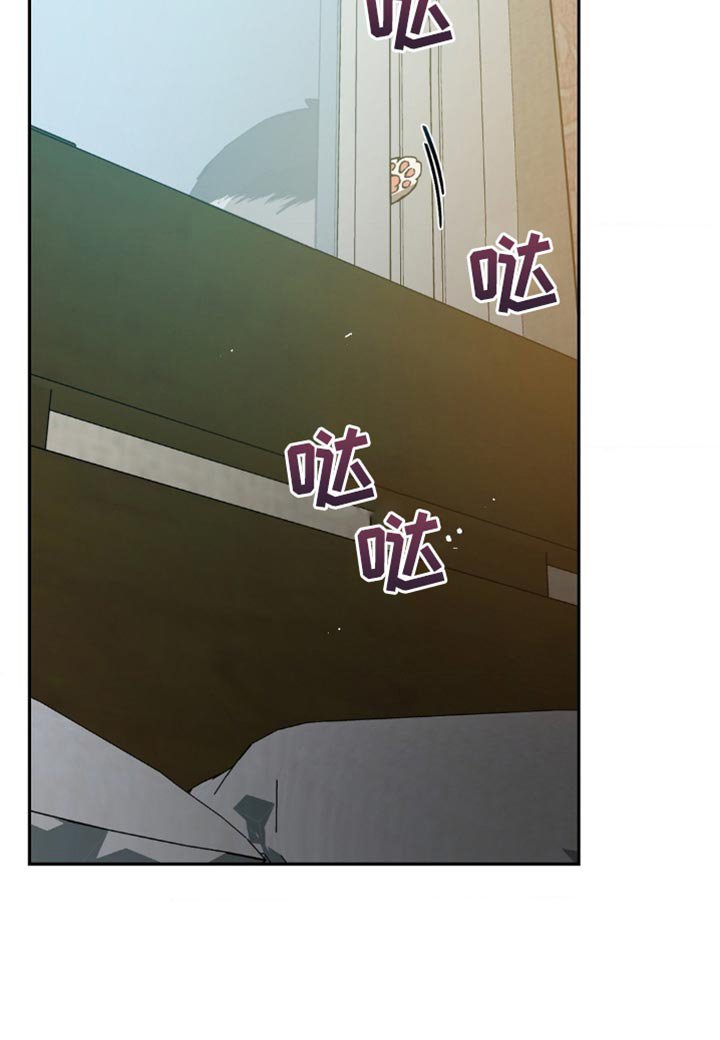 第161章：【番外】这就够了