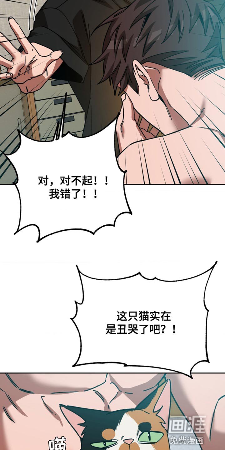 第161章：【番外】这就够了
