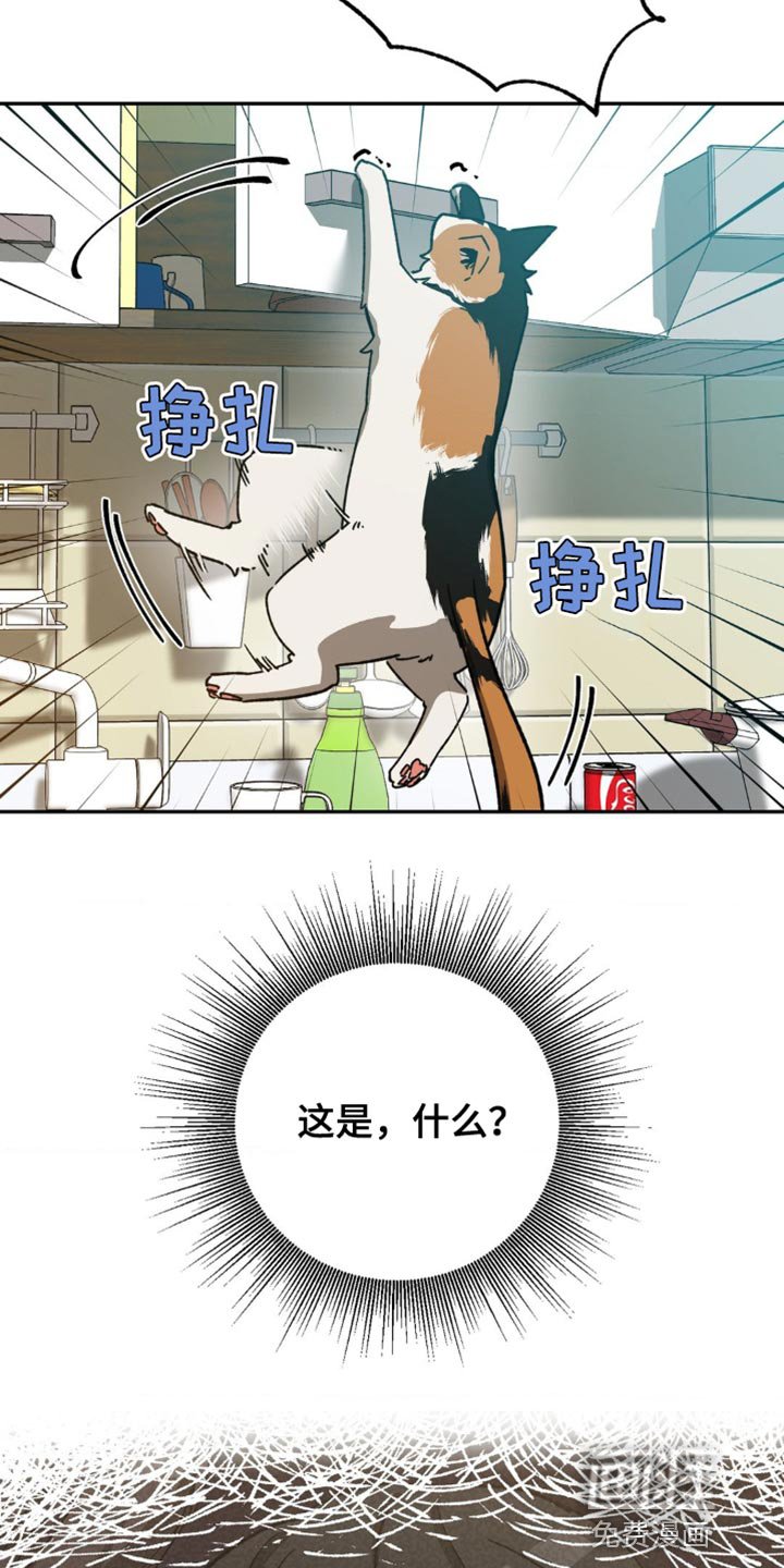 第161章：【番外】这就够了