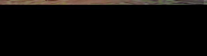 第168章：【番外】暂时的错觉