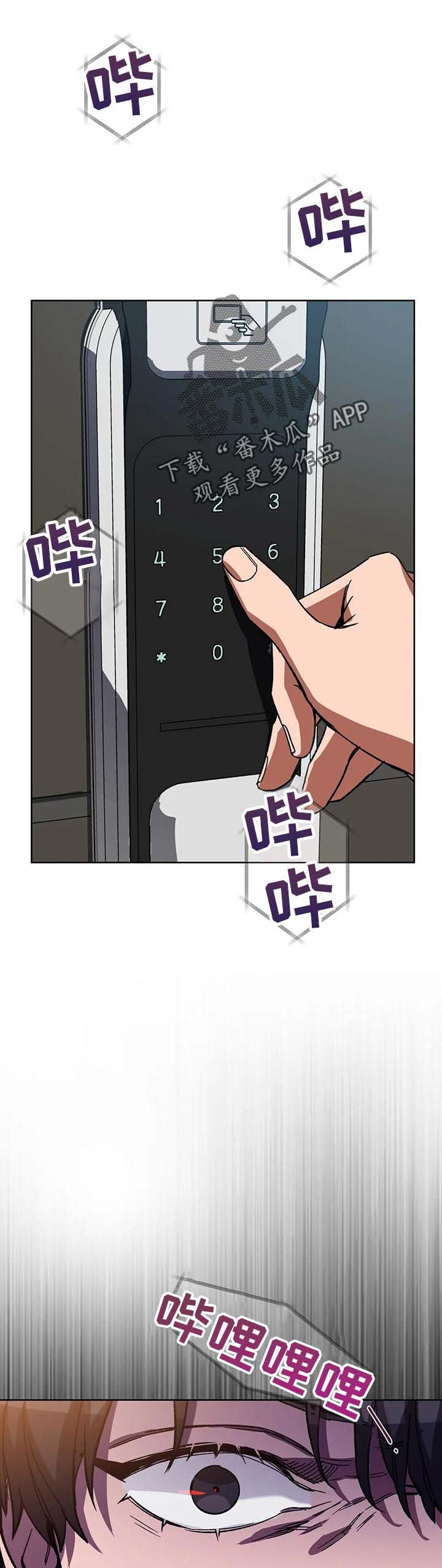 第37章：疯子