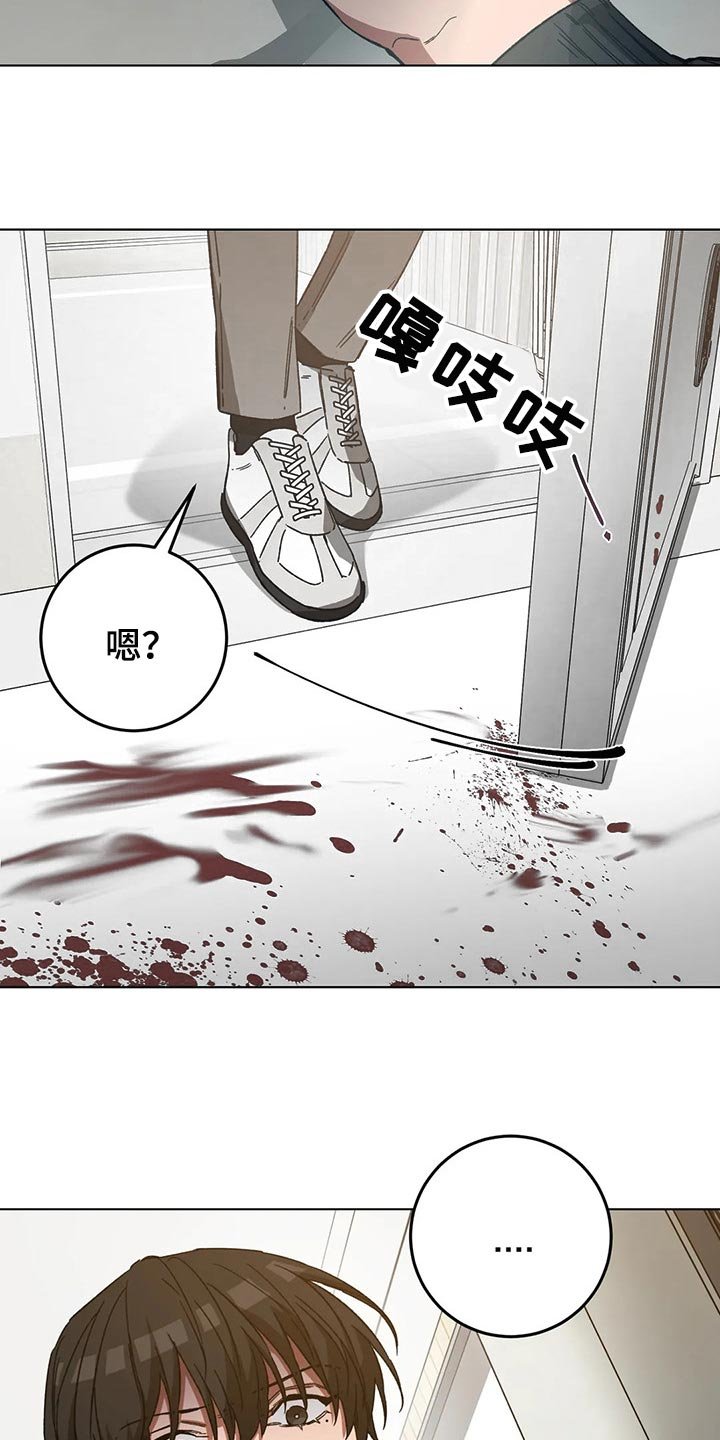 第74章：计划