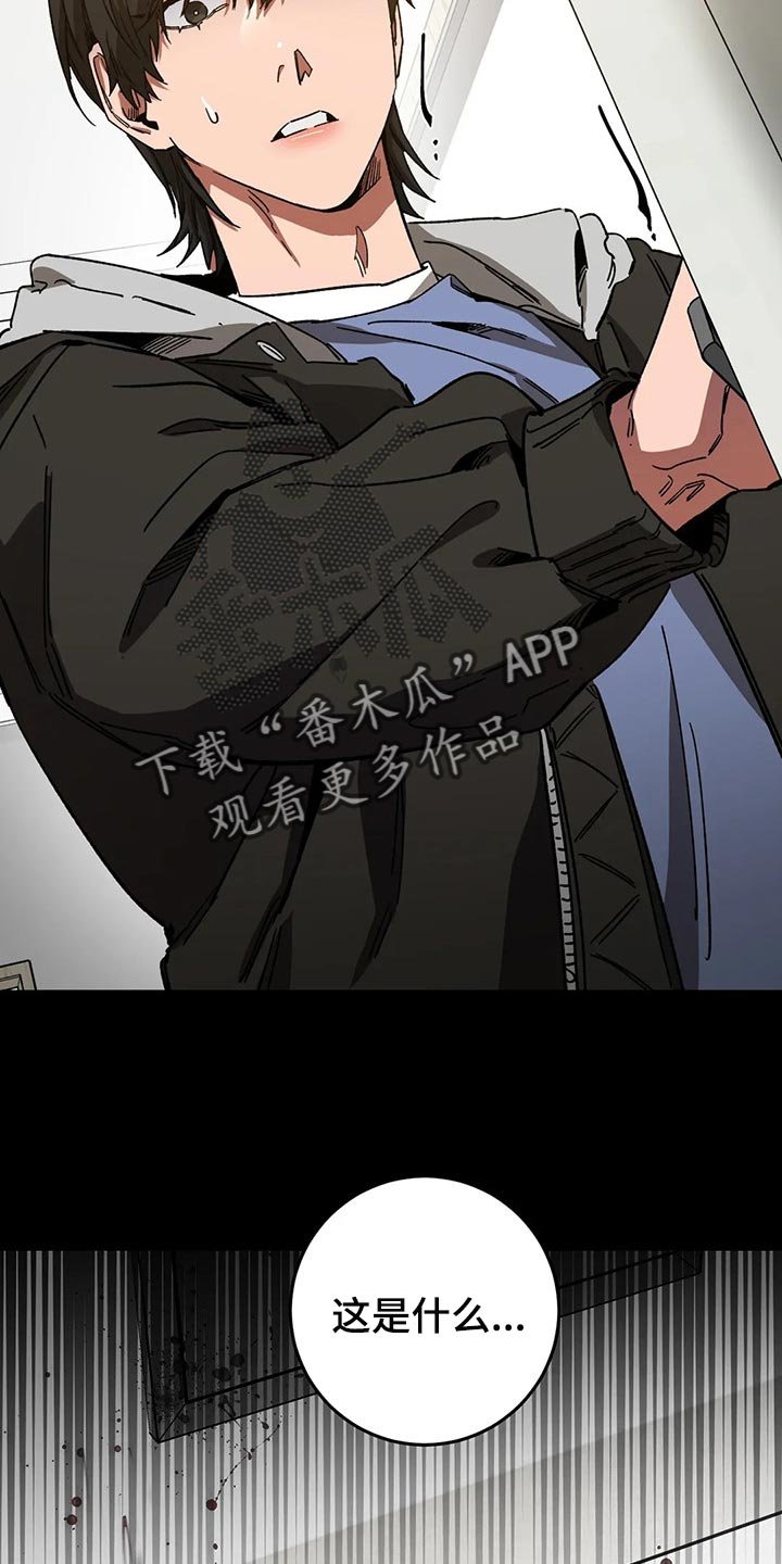 第74章：计划