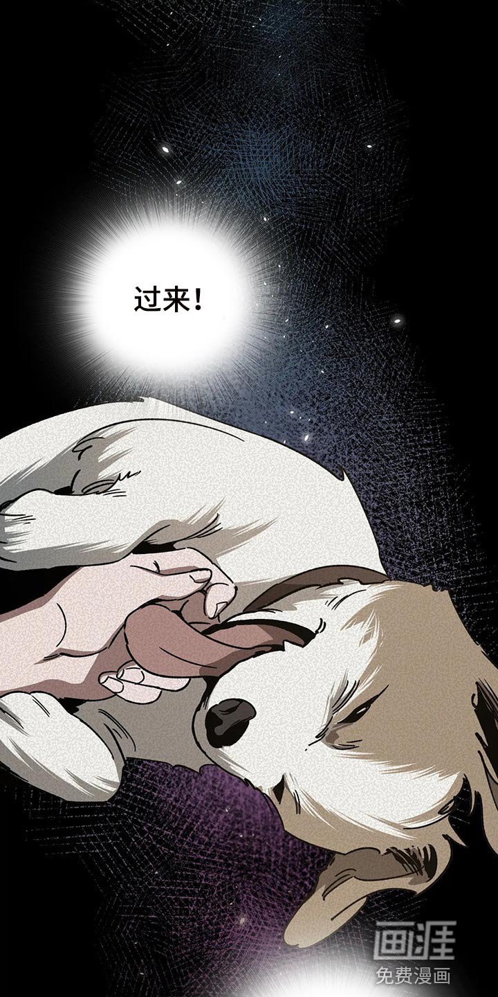 第99章：喂食