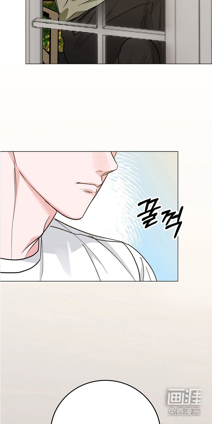 第15章：挽救的办法
